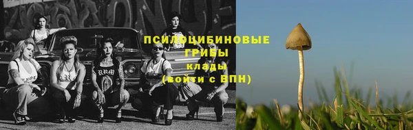 прущий лед Аркадак