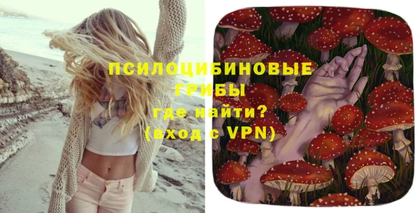 мяу мяу мука Арсеньев