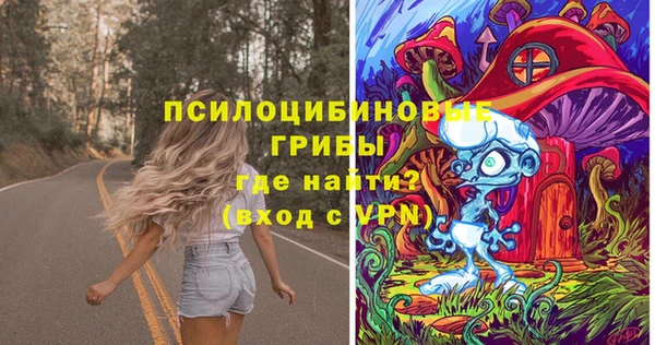 прущий лед Аркадак