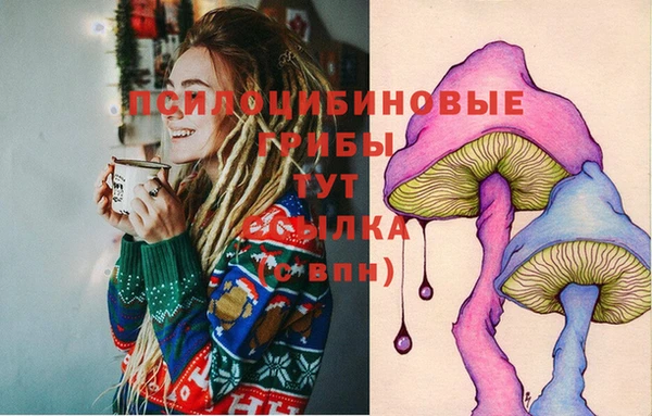 мяу мяу мука Арсеньев